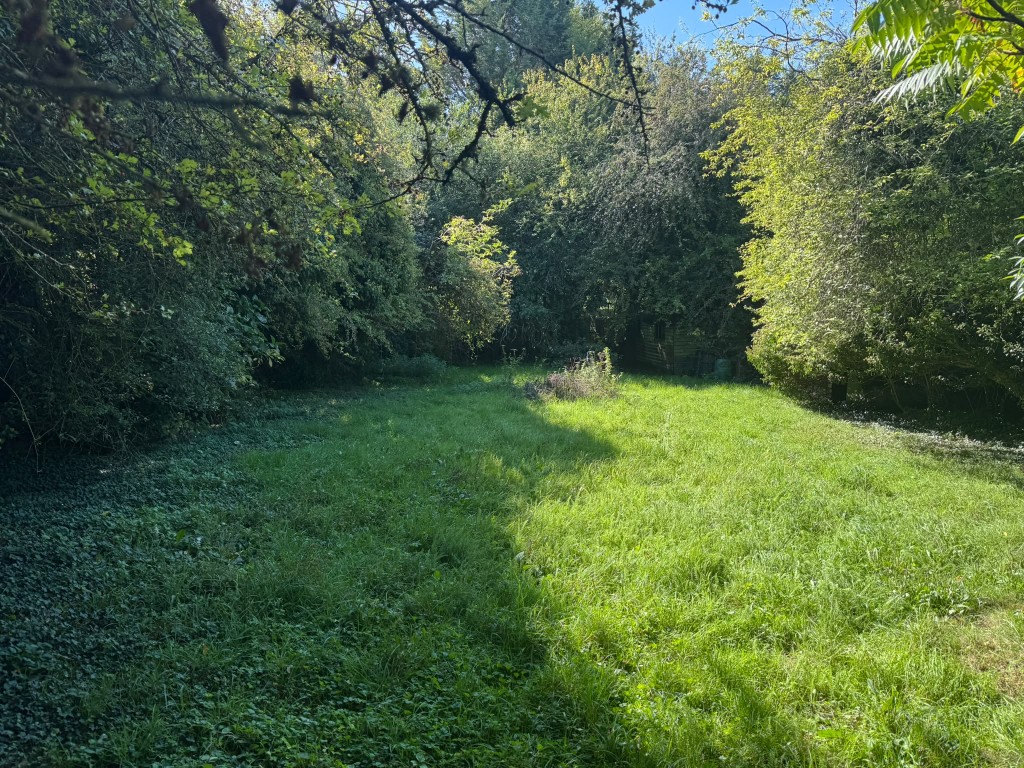 Lot: 47 - APPROXIMATELY HALF AN ACRE OF LAND WITH VACANT POSSESSION - Parcel of land with mature trees